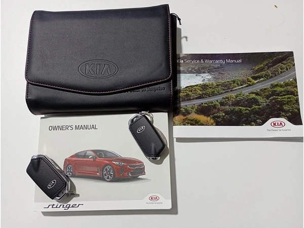 2018 Kia Stinger GT Automatic Rear Wheel Drive